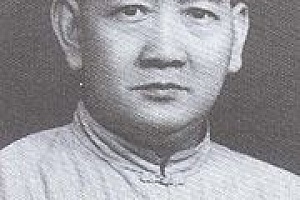 Легенда Хун Гар и герой Китая Вонг Фей Хунг (2008)